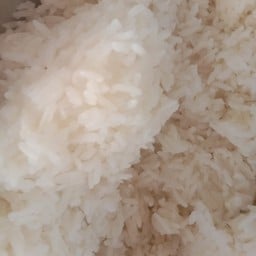 ข้าวเปล่า