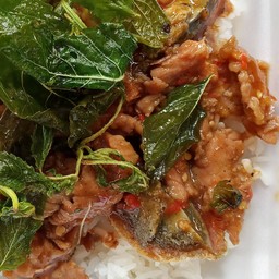 ผัดกะเพราเนื้อไข่เยี่ยวม้าราดข้าว