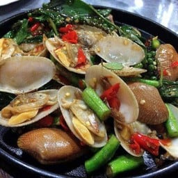 หอยลายผัดฉ่ากระทะร้อนsizzing spicy baby clam on hot plate