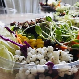 shake salad