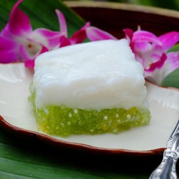 ตะโก้สาคู