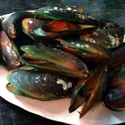 หอยแมลงภู่เผาGrilled sea mussels