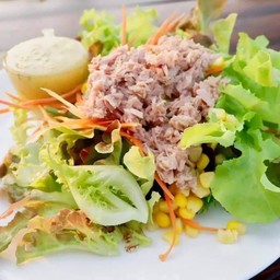สลัดผักไฮโดรโปรนิคส์+ทูน่า