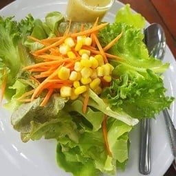 สลัดผักไฮโดรโปรนิคส์