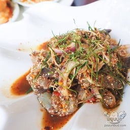 ก้อยกุ้งสุก/ดิบ