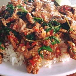 กะเพราเนื้อราดข้าว