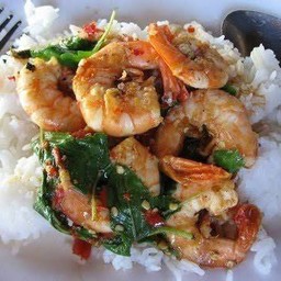 กระเพรากุ้ง ข้าวหอมมะลิ