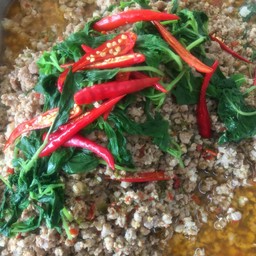 กระเพาหมูสับ