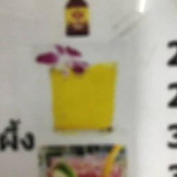 เก๊กฮวย