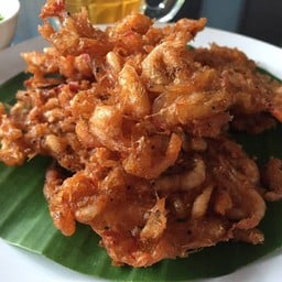 กระบองกุ้งฝอย