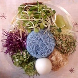 ครัวตัวp.-Halal food