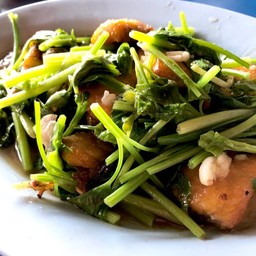 ผัดปลาช่อนขึ้นฉ่าย