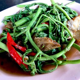 ผัดผักกระเฉดหมูกรอบ(ใส่พริก)