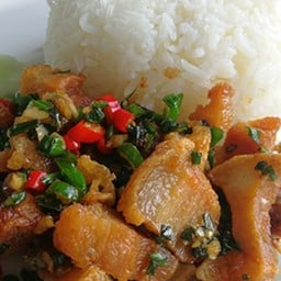 หมูกรอบผัดพริกเกลือราดข้าว