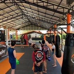 Tiger Muay Thai & MMA Training Camp, Chiang Mai, Thailand