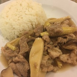 ข้าวราดน้ำมันหอย