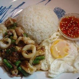 กะเพราแรดสาย1