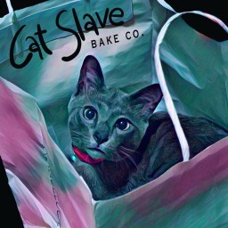 catslave.bake.co