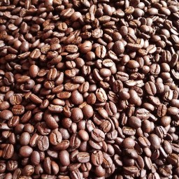 The Move Coffee (ม.มหิดลศาลายา)