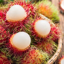 MENU_446699mz_1589084674