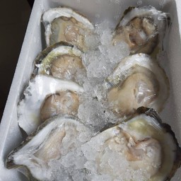 ติดลิ้น กินหอย