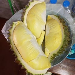 ทุเรียนแม่หม่อน