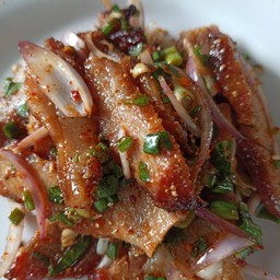 น้ำตกคอหมูย่าง