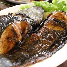 ปลาดุกย่าง