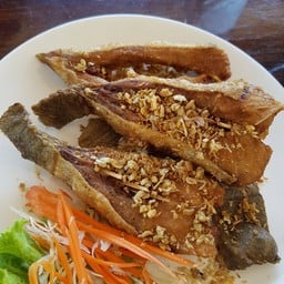 เชิงปลากราย