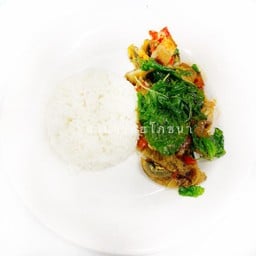 D ข้าวราดไข่เยี่ยวม้ากะเพรา หมูกรอบ