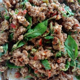 เนื้อสับผัดกระเพรา