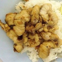 ข้าวปลากระเทียม