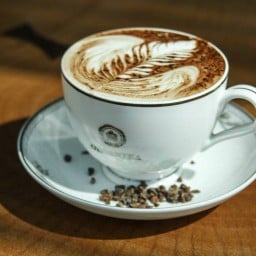 Organika House พิมาน 49