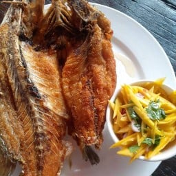 BUSSTOP สุขุมวิทซอย4