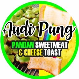 AUDI PUNG