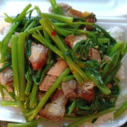 ผัดผักบุ้งหมูกรอบ