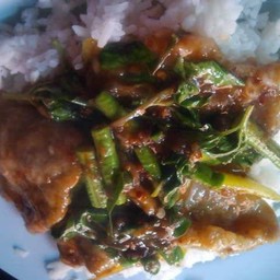 พริกแกง หมูหมัก,ไก่,หมูชิ้น ราดข้าว