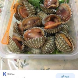 16jirapa2534@gmail.com