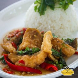DL ข้าวปลากะพงผัดกะเพรา