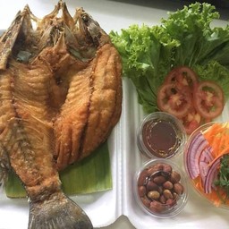 ปลากะพงหางโผล่