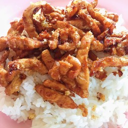 ข้าวราดหมูทอดกระเทียม