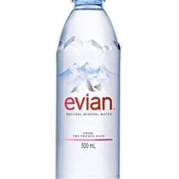 Evian Mineral Water 500ml