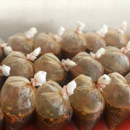 เกาเหลายำ พิเศษ