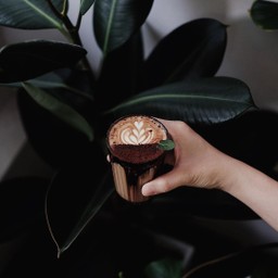 Mocha Mint (only Hot)
