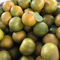 ส้มเขียวหวาน(เขียว) 