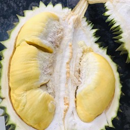 Durian SS