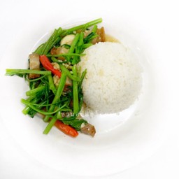 D ข้าวราดผัดผักบุ้ง หมูกรอบ