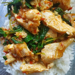 ข้าวกะเพราไก่