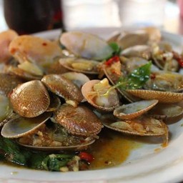 ผัดหอยลายพริกเผา