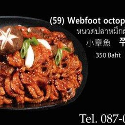 Baby Octopus Stir- Fry